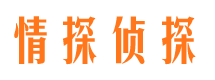 岭东寻人公司